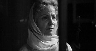 “مدام X” او”المرأة المجهولة”.. كيف حول شادية  الى عجوز وكمال الشناوي صار شريراً ،وماذا عن اغنية”سيد الحبايب”؟