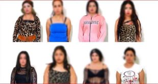 وقوع شبكة سيدات المتعة بقبضة الاجهزة الامنية !!