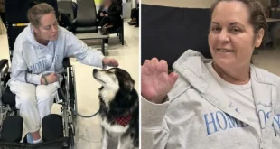 غيبوبة وغرغرينا وبتر اطراف والسبب عملية تجميل!!