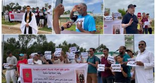 مقتنو بقع تجزئة المدينة الخضراء بالمهدية يطالبون بإنهاء سنوات الانتظار وتسريع تسليم البقع