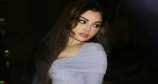 تطورات أزمة هيفاء وهبي وطبيب شهير في مصر